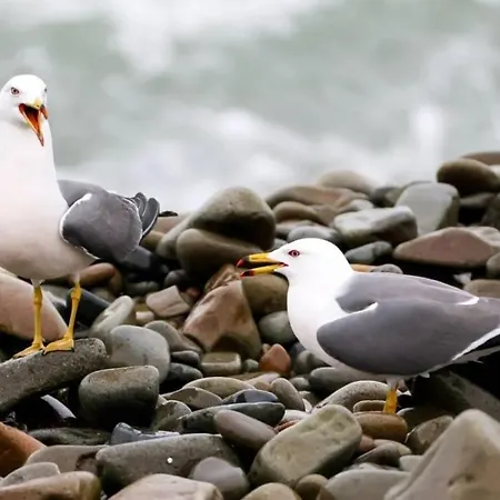 La Durdent - Domaine Du Presbytere Apartment